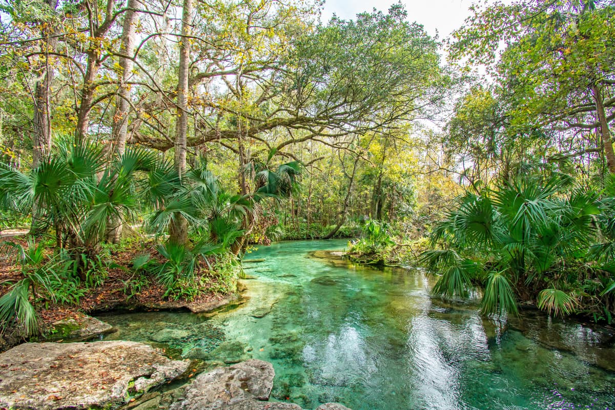 Apopka